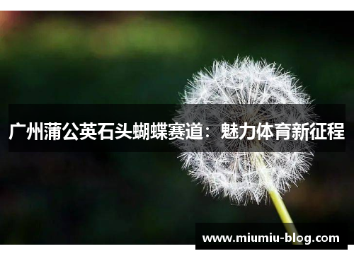 广州蒲公英石头蝴蝶赛道：魅力体育新征程